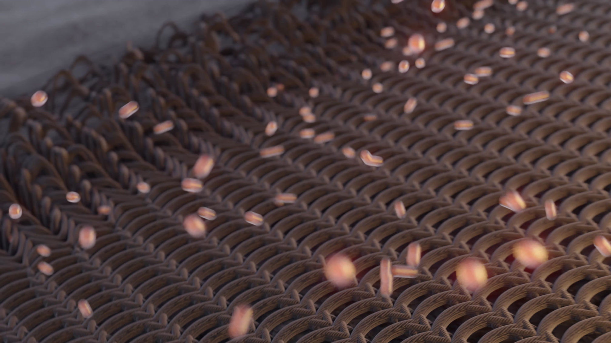 3D Explainer of A Garment Tech
